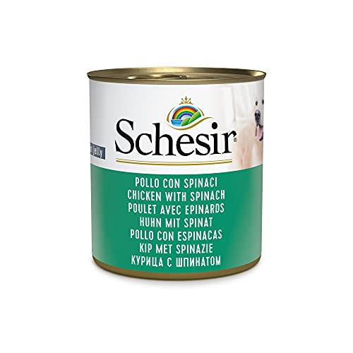 Schesir Dog Huhn mit Spinat, Hundefutter nass, 16 Dosen x 285 g von Schesir