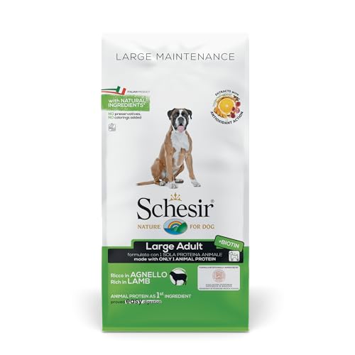 Schesir Dog Large Manteinance Lamm 12 kg Schesir Dog Large Manteinance Lamm 12 kg von Schesir