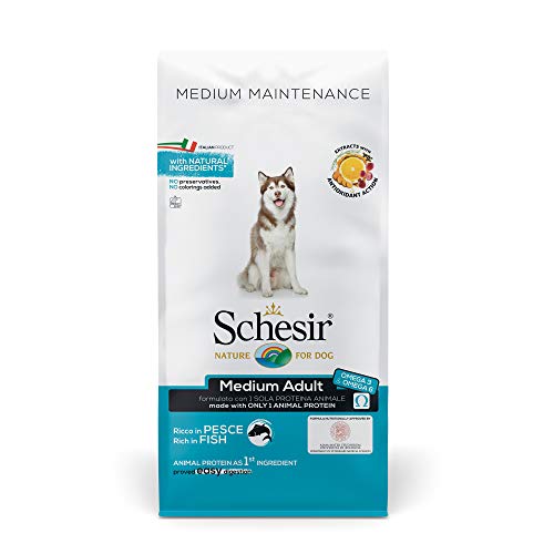 Schesir Dog Medium Maintenance Fisch, Hundefutter trocken für mittelgroßerRassen, Beutel, 12 kg von Schesir