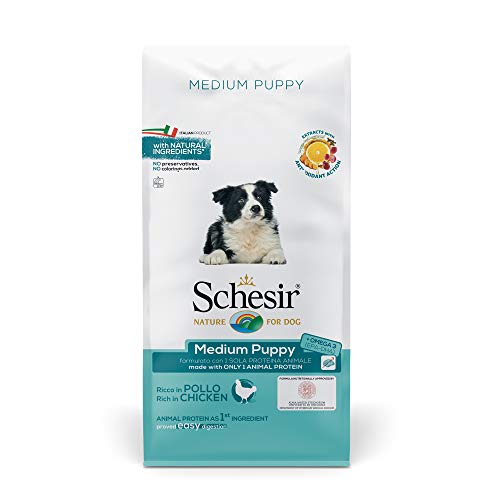 Schesir Dog Medium Puppy Huhn, Hundefutter trocken für Welpen mittelgroßer Rassen, Beutel, 12 kg Schesir Dog Medium Puppy Huhn, Hundefutter trocken für Welpen mittelgroßer Rassen, Beutel, 12 kg von Schesir