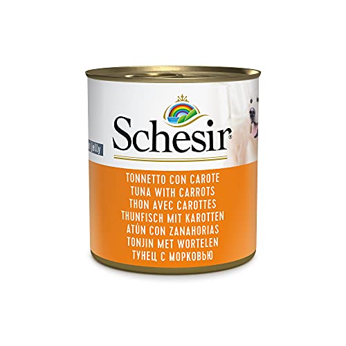 Schesir Dog Thunfisch mit Karotte, Hundefutter nass, 16 Dosen x 285 g von Schesir