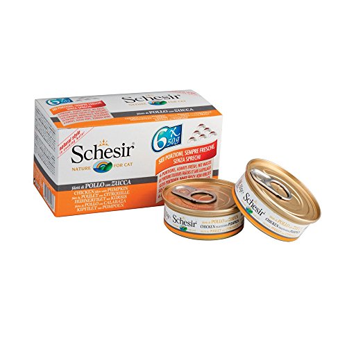 Schesir Exotic Nassfutter für Erwachsene Katzen mit Huhn mit Kürbis – insgesamt 300 g (6 Dosen à 50 g) von Schesir
