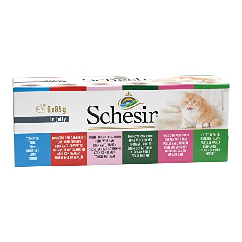 Schesir Katzennassfutter Natural Jelly Multipack, 1er Pack (1 x 510 g) von Schesir