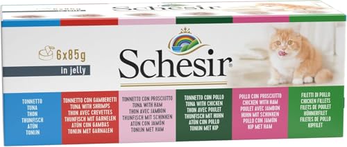 Schesir Natural Katzenfutter nass mit 100% natürlichen Zutaten aus Thunfisch, Rinderfilet, Hühnerfilet, kleinen Sardellen & Reis im Multipack oder als Einzelsorte (6 x 85g Dose) von Schesir