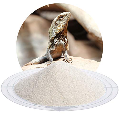 Schicker Mineral Terrariensand beige 25 kg, hochrein, kantengerundet, gewaschen und hocherhitzt, frei von organischen Stoffen, keimfrei, sofort einsetzbar, Terrariumkies (0,1-0,3 mm) von Schicker Mineral