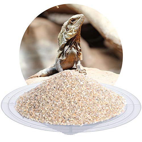 Schicker Mineral Terrariensand beige 25 kg, hochrein, kantengerundet, gewaschen und hocherhitzt, frei von organischen Stoffen, keimfrei, sofort einsetzbar, Terrariumkies (0,8-1,6 mm) von Schicker Mineral