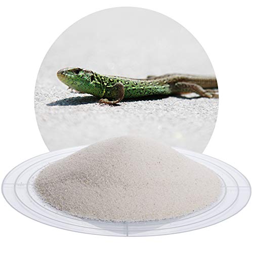 Schicker Mineral Terrariensand weiß 25 kg, hochrein, kantengerundet, gewaschen und hocherhitzt, frei von organischen Stoffen, keimfrei, sofort einsetzbar, Terrariumkies (0,1-0,3 mm) von Schicker Mineral