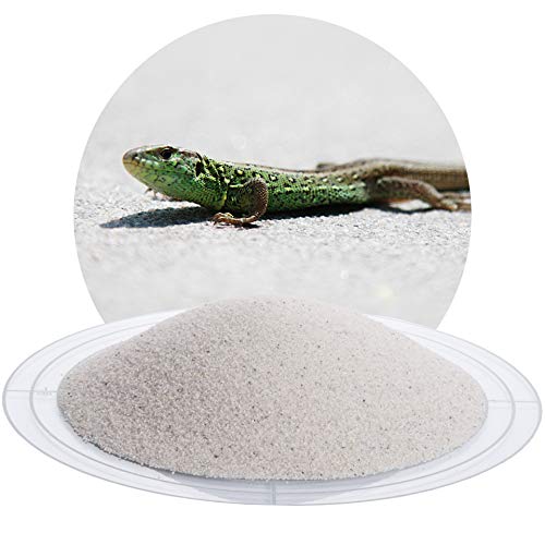 Schicker Mineral Terrariensand weiß 25 kg, hochrein, kantengerundet, gewaschen und hocherhitzt, frei von organischen Stoffen, keimfrei, sofort einsetzbar, Terrariumkies (0,4-0,8 mm) von Schicker Mineral