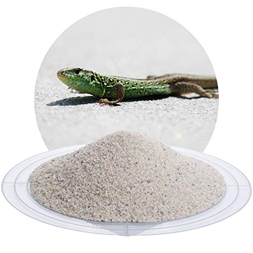Schicker Mineral Terrariensand weiß 25 kg, hochrein, kantengerundet, gewaschen und hocherhitzt, frei von organischen Stoffen, keimfrei, sofort einsetzbar, Terrariumkies (0,71-1,25 mm) von Schicker Mineral