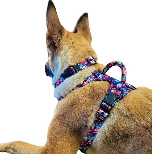 Schleppo Hundegeschirr Set – No-Pull Geschirr mit Passender Leine & Halsband – Verstellbar, Gepolstert & Atmungsaktiv – Ideal für Kleine & Mittelgroße Hunde (Blumenmuster, Mittelgroße Hunde) von Schleppo