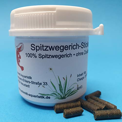 50g Futter Sticks für Garnelen in Schraubdose / 15 Sorten verfügbar/Welse, Krebse, Schnecken (Spitzwegerich) von Schmitt Aquaristik