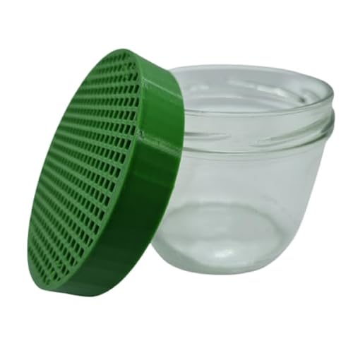 Schmitt Aquaristik Laichfalle Set für Perlhuhnbärblinge und andere ablaichende kleine Fische/Glas + Aufsatz grün von Schmitt Aquaristik