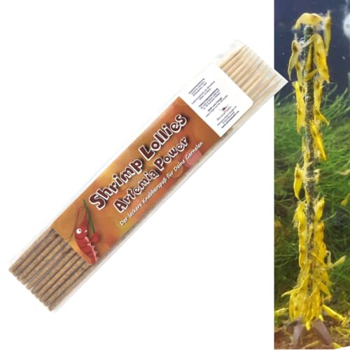 Schmitt Aquaristik Shrimp-Lollies Artemia Power (10 Stück) / Futter für Garnelen / Lollies Futter Blütenpollen von Schmitt Aquaristik