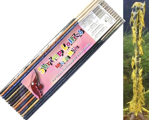 Shrimp Lollies Mega Mix 15 Stück/Futter Garnelen Lollies Lutscher Sticks Stangen von Schmitt Aquaristik