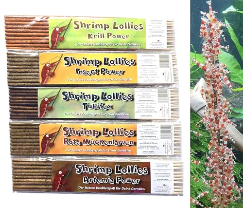 Shrimp Lollies Proteine Set 5er / Futter Garnelen Lollies Lutscher Sticks Stangen von Schmitt Aquaristik