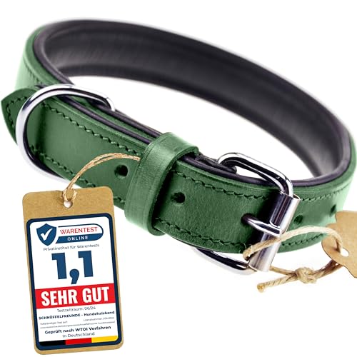 Schnüffelfreunde Halsband für Hunde aus Leder, Hundehalsband für den großen, mittleren und kleinen Hund, Lederhalsband gepolstert, robust (L - 36-45cm, Grün) von Schnüffelfreunde