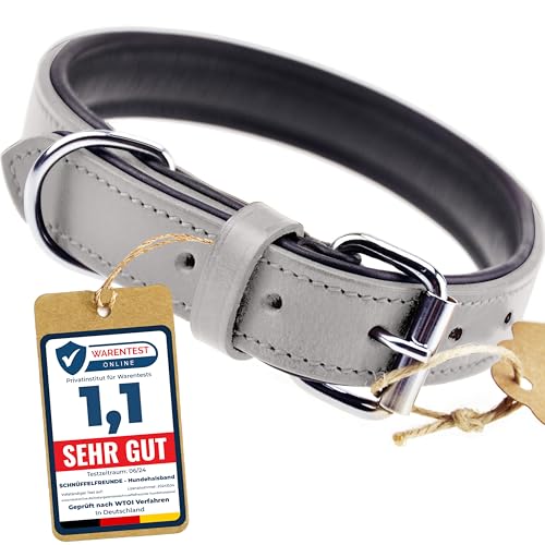 Schnüffelfreunde Halsband für Hunde aus Leder, Hundehalsband für den großen, mittleren und kleinen Hund, Lederhalsband gepolstert, robust (M - 28-36cm, Grau) von Schnüffelfreunde