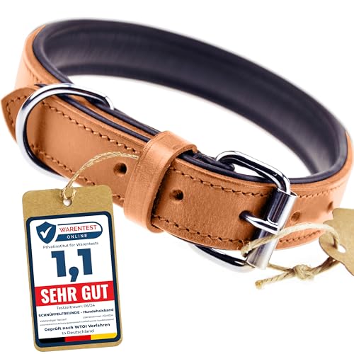 Schnüffelfreunde Halsband für Hunde aus Leder, Hundehalsband für den großen, mittleren und kleinen Hund, Lederhalsband gepolstert, robust (S - 24-30cm, Beige) von Schnüffelfreunde