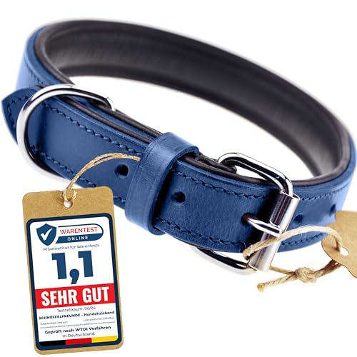 Schnüffelfreunde Halsband für Hunde aus Leder, Hundehalsband für den großen, mittleren und kleinen Hund, Lederhalsband gepolstert, robust (XL - 46-55cm, Blau) von Schnüffelfreunde