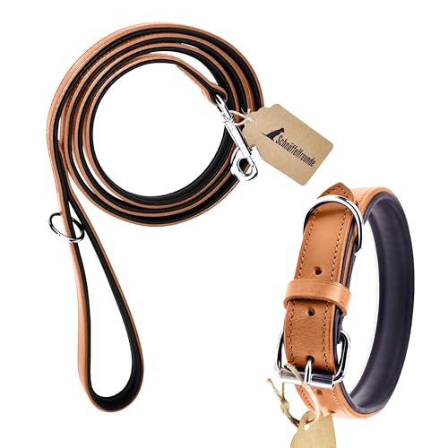 Schnüffelfreunde Hunde Halsband und Leine Set - aus Leder - handgenäht - Halsband Größe M/Leine 180cm (Beige) von Schnüffelfreunde
