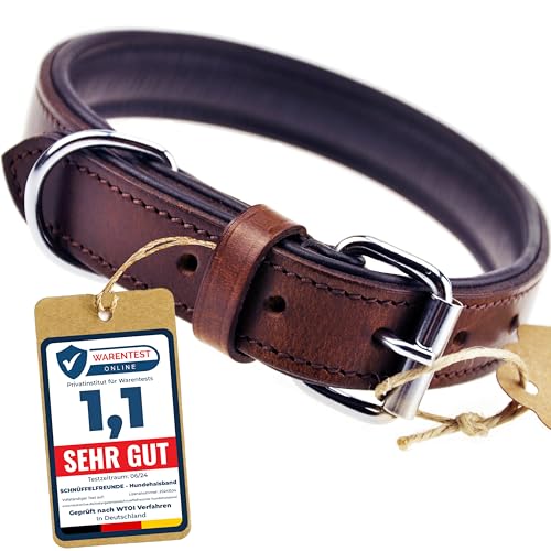 Schnüffelfreunde Halsband für Hunde aus Leder, Hundehalsband für den großen, mittleren und kleinen Hund, Lederhalsband gepolstert, robust (L - 36-45cm, Braun) von Schnüffelfreunde