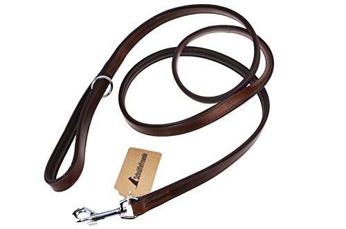 Schnüffelfreunde Hundeleine aus Leder - Führleine - Lederleine für den Hund - Für alle Hunde (180cm, Braun) von Schnüffelfreunde