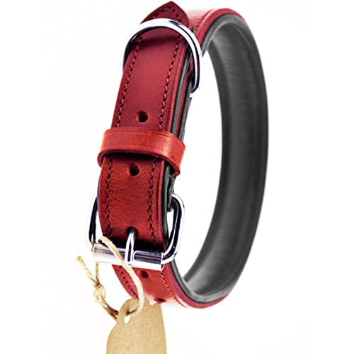 Schnüffelfreunde Halsband für Hunde aus Leder, Hundehalsband für den großen, mittleren und kleinen Hund, Lederhalsband gepolstert, robust (L - 36-45cm, Rot) von Schnüffelfreunde