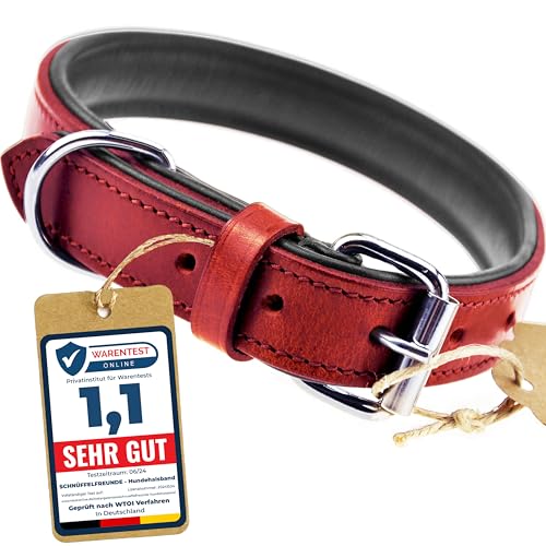 Schnüffelfreunde Halsband für Hunde aus Leder, Hundehalsband für den großen, mittleren und kleinen Hund, Lederhalsband gepolstert, robust (L - 36-45cm, Rot) von Schnüffelfreunde