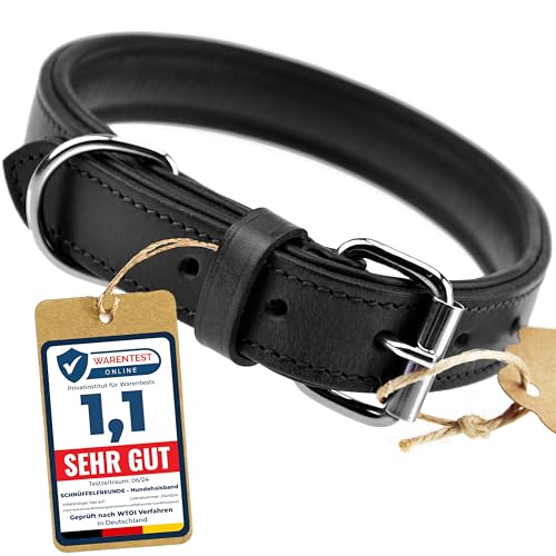 Schnüffelfreunde Halsband für Hunde aus Leder, Hundehalsband für den großen, mittleren und kleinen Hund, Lederhalsband gepolstert, robust (L - 36-45cm, Schwarz) von Schnüffelfreunde