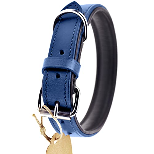Schnüffelfreunde Halsband für Hunde aus Leder, Hundehalsband für den großen, mittleren und kleinen Hund, Lederhalsband gepolstert, robust (XXL - 55-65cm, Blau) von Schnüffelfreunde
