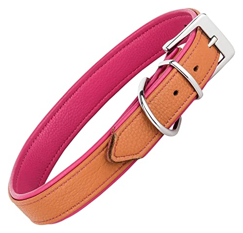 Schnüffelfreunde Lederhalsband Fun Line - Hundehalsband für den großen, mittleren und kleinen Hund - Halsband für Hunde aus Leder - gepolstert & robust (L - 36-45cm, Beige-Pink) von Schnüffelfreunde