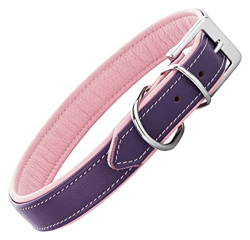 Schnüffelfreunde Lederhalsband Hund - Fun Line (L - 36-45cm, Lila-Rosa) von Schnüffelfreunde