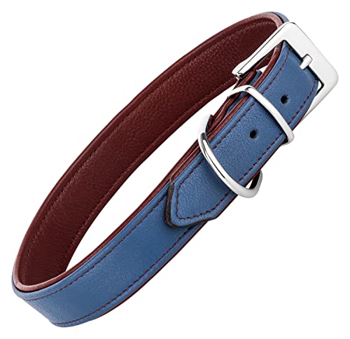 Schnüffelfreunde Lederhalsband Fun Line - Hundehalsband für den großen, mittleren und kleinen Hund - Halsband für Hunde aus Leder - gepolstert & robust (M - 28-36cm, Blau-Rot) von Schnüffelfreunde