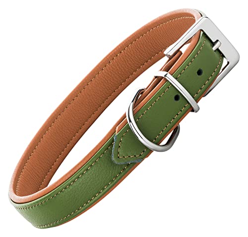 Schnüffelfreunde Lederhalsband Hund - Fun Line (M - 28-36cm, Grün-Beige) von Schnüffelfreunde