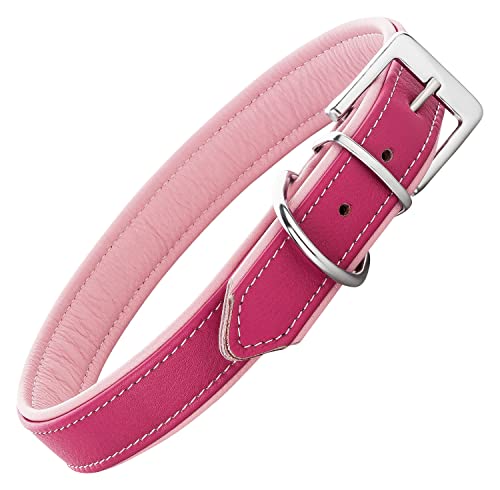 Schnüffelfreunde Lederhalsband Fun Line - Hundehalsband für den großen, mittleren und kleinen Hund - Halsband für Hunde aus Leder - gepolstert & robust (M - 28-36cm, Pink-Rosa) von Schnüffelfreunde