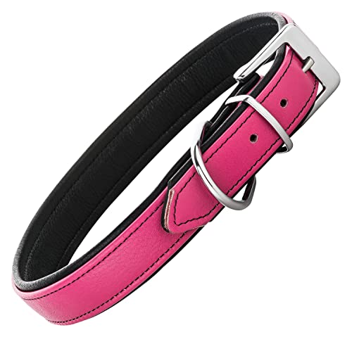Schnüffelfreunde Lederhalsband Fun Line - Hundehalsband für den großen, mittleren und kleinen Hund - Halsband für Hunde aus Leder - gepolstert & robust (M - 28-36cm, Pink-Schwarz) von Schnüffelfreunde