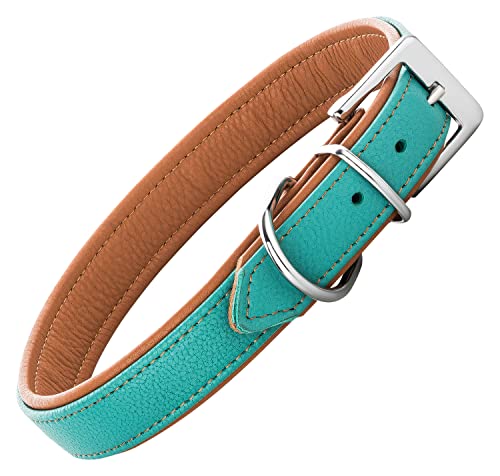 Schnüffelfreunde Lederhalsband Hund - Fun Line (M - 28-36cm, Türkis-Braun) von Schnüffelfreunde