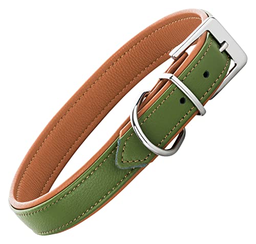 Schnüffelfreunde Lederhalsband Fun Line - Hundehalsband für den großen, mittleren und kleinen Hund - Halsband für Hunde aus Leder - gepolstert & robust (XL - 46-55cm, Grün-Beige) von Schnüffelfreunde