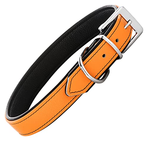 Schnüffelfreunde Lederhalsband Fun Line - Hundehalsband für den großen, mittleren und kleinen Hund - Halsband für Hunde aus Leder - gepolstert & robust (XL - 46-55cm, Orange-Schwarz) von Schnüffelfreunde