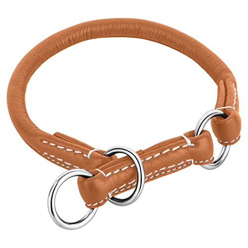 Schnüffelfreunde Retriever Halsband für Hunde mit Zugstopp aus Leder I Erziehungshalsband I Dressurhalsband I Lederhalsband Hund (L - bis 37cm, Beige) von Schnüffelfreunde