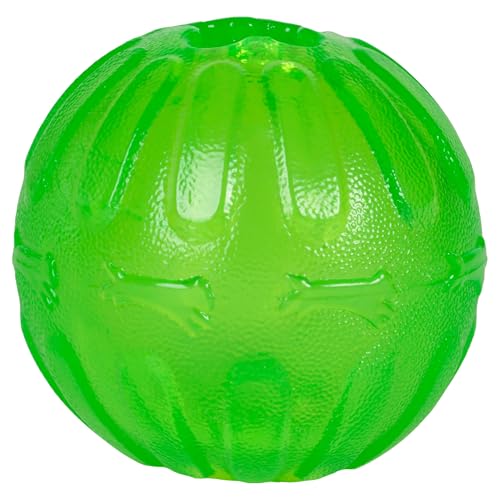 Schulze 74171 StarMark Everlasting Fun Ball von StarMark