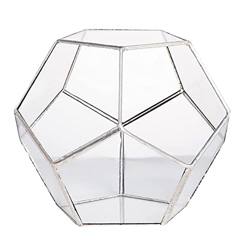 Schwamm Handgefertigtes Pentagon Glas Geometrische Terrarium Garten Display Blumen Topf Drinnen Draussen Tischplatte HerzstüCk Pflanzer von Schwamm