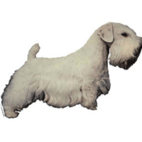 World Stickers Schwandt Heimtierbedarf 12095 Aufkleber 4 Stück ca. 80 x 80 mm für Warnschild Sealyham Terrier World Stickers Schwandt Heimtierbedarf 12095 Aufkleber 4 Stück ca. 80 x 80 mm für Warnschild Sealyham Terrier von Schwandt Heimtierbedarf