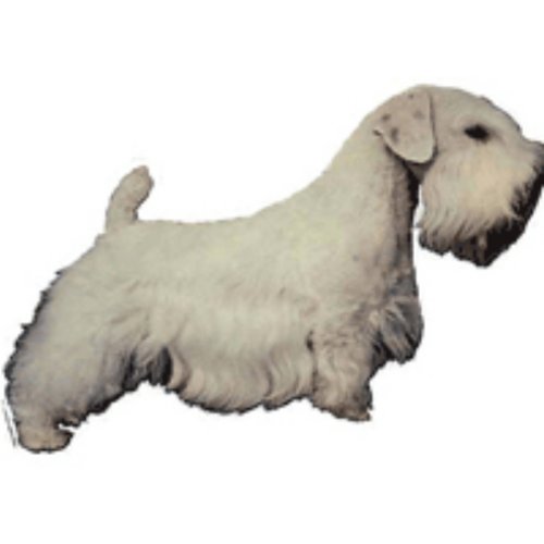 World Stickers Schwandt Heimtierbedarf 12095 Aufkleber 4 Stück ca. 80 x 80 mm für Warnschild Sealyham Terrier von Schwandt Heimtierbedarf