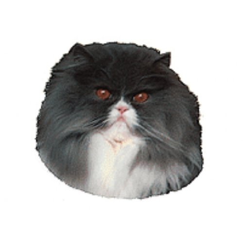 World Stickers Schwandt Heimtierbedarf 13512 Aufkleber 2 Stück ca. 140 x 160 mm für Warnschild Perser Katze von Schwandt Heimtierbedarf