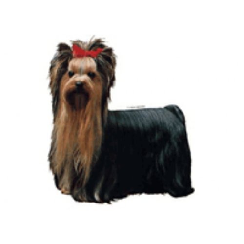 World Stickers Schwandt Heimtierbedarf 14043 Aufkleber 1 Stück ca. 200 x 220 mm für Warnschild Yorkshire Terrier stehend World Stickers Schwandt Heimtierbedarf 14043 Aufkleber 1 Stück ca. 200 x 220 mm für Warnschild Yorkshire Terrier stehend von Schwandt Heimtierbedarf