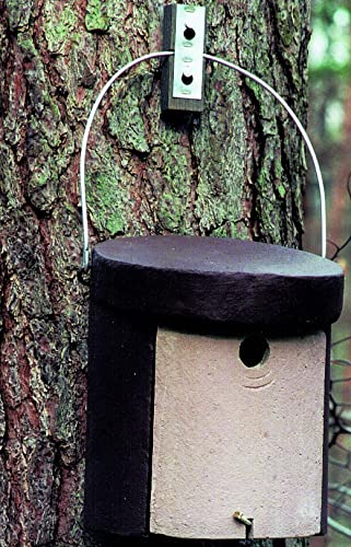 Kleiberhöhle, spezieller Nistkasten für den Vogel des Jahres 2006 Sitta europaea von Schwegler