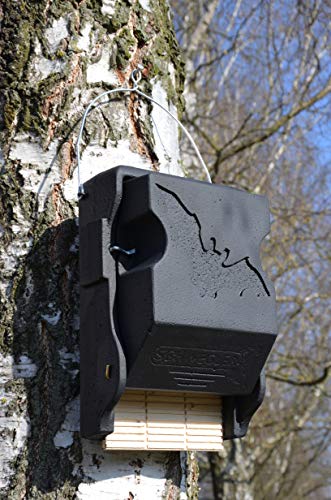 Naturschutzprodukt Fledermaus-Grossraum-Flachkasten 3FF mit Inspektionsluke von Schwegler