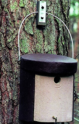 Naturschutzprodukt Kleiber Nistkasten Nisthöhle Kleiberhöhle Typ 5KL Flugloch Durchmesser 32 mm aus Holzbeton Höhe 30 cm Naturschutzprodukt Kleiber Nistkasten Nisthöhle Kleiberhöhle Typ 5KL Flugloch Durchmesser 32 mm aus Holzbeton Höhe 30 cm von Schwegler