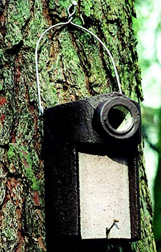 Naturschutzprodukt Star Nistkasten Satz 2 Stück Nisthöhle Starenhöhle Typ 3SV Flugloch Durchmesser 45 mm mit Marderschutz aus Holzbeton Höhe 28 cm Naturschutzprodukt Star Nistkasten Satz 2 Stück Nisthöhle Starenhöhle Typ 3SV Flugloch Durchmesser 45 mm mit Marderschutz aus Holzbeton Höhe 28 cm von Schwegler